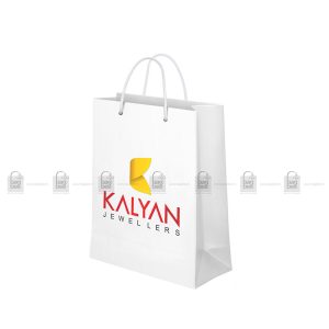 Paper Bag Manufacturer